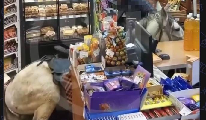 Bitrix 185525: IMG_20260324_103417.jpg