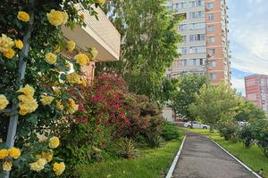 IMG_20260524_061329