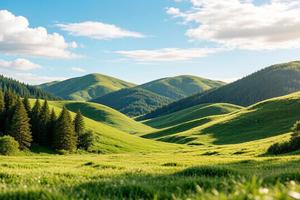 IMG_20260608_040723_124