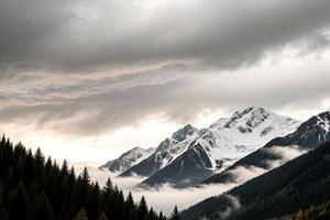 IMG_20260930_114604_617