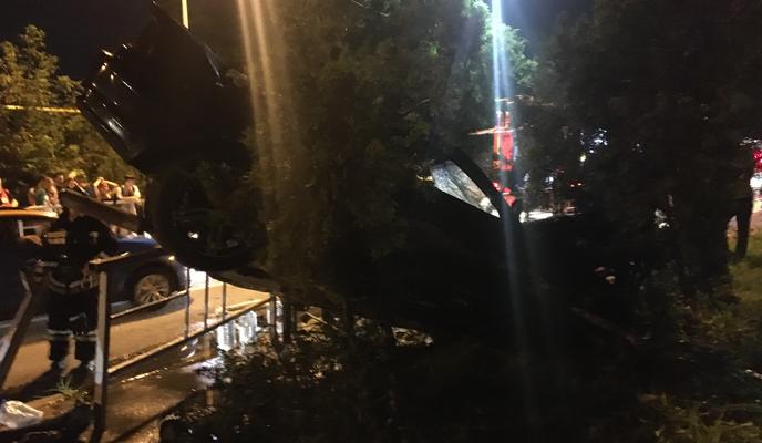 Bitrix 99224: IMG_3456.JPG