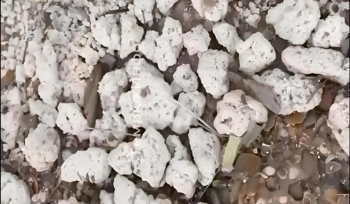 Bitrix 146467: Izobrazhenie-WhatsApp-2024_02_14-v-13.07.18_efba1d29.jpg