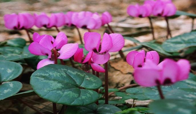 Bitrix 146385: Izobrazhenie-WhatsApp-2024_02_13-v-13.55.04_bd9fcbaf.jpg