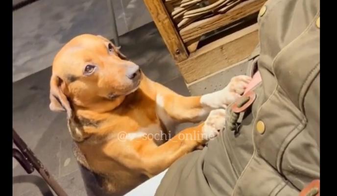 Bitrix 113508: J9n3TW3PZFE.jpg