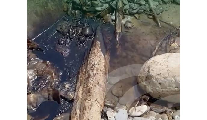 Bitrix 118917: JJ3lV_2ywj_4zTv29OyuvswS2EWB_niERGibdVx6ZV1RaXaPn4voFg52BgIjD5_9I29_ngTX9c9THwle5lM5OvX.jpg