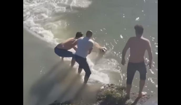 Bitrix 108923: Jty6vSQ7100.jpg