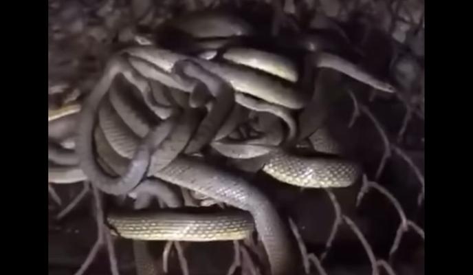 Bitrix 112155: K7fVP4Oq9mM.jpg