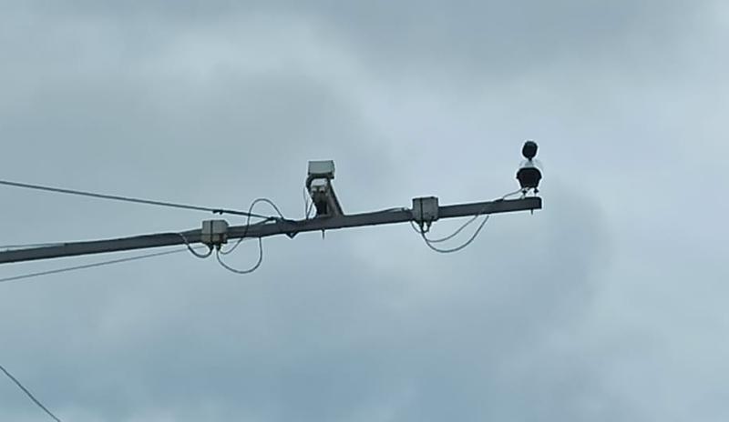Bitrix 149963: Kamera-dorozhnaya.jpg