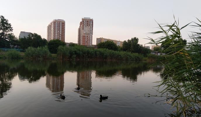 Bitrix 111625: Karasun11.jpg