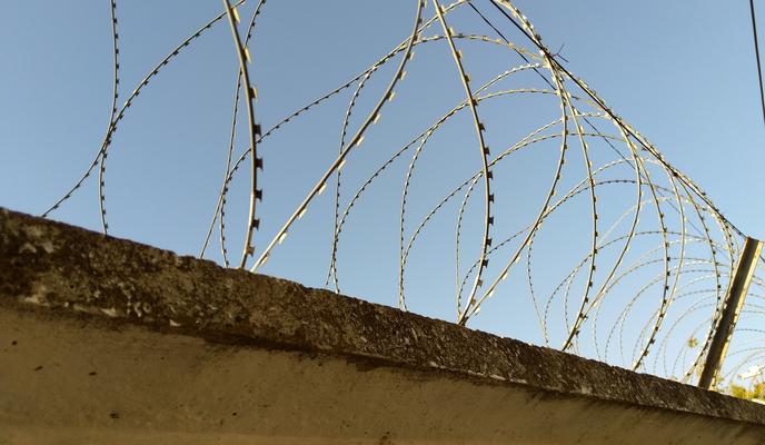 Bitrix 142350: Kolyuchaya-provoloka3.jpg