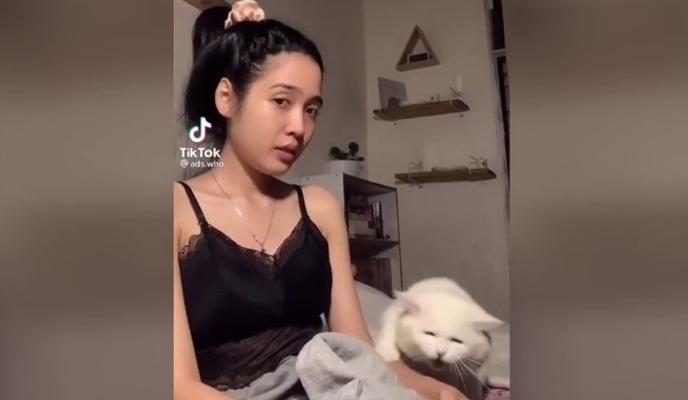 Bitrix 112589: Kot-trebuet-vnimaniya.jpg