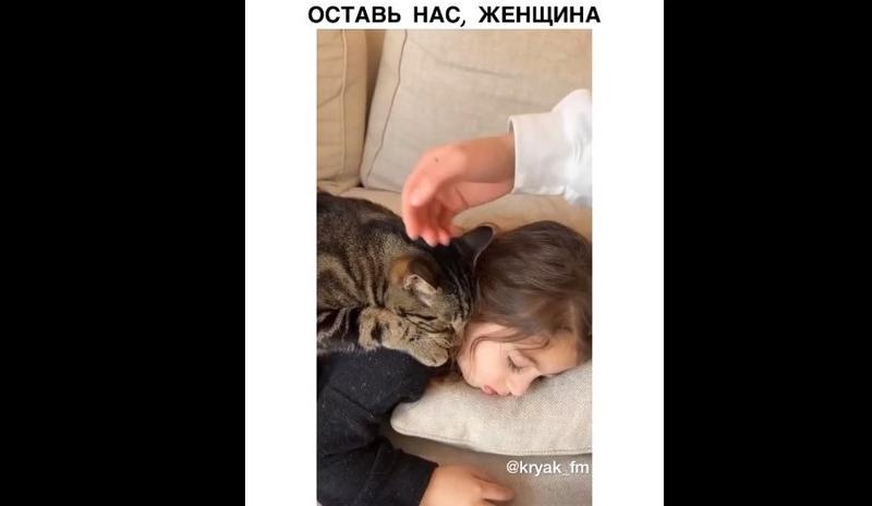 Bitrix 111565: Kot-usnul-v-obnimku-s-malenkoy-khozyaykoy.jpg