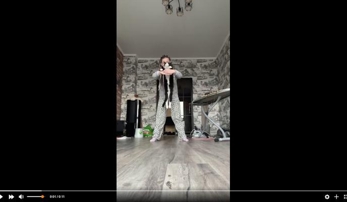 Bitrix 115034: Kot_parkurshchik.jpg