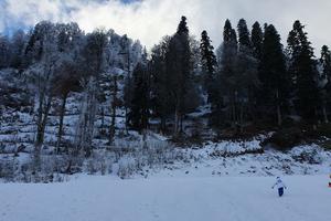 Bitrix 131097: Krasnaya-Polyana5-_2_.jpg