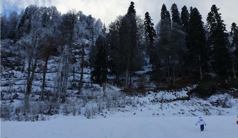 Bitrix 131540: Krasnaya-Polyana5.jpg