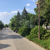Красная улица аллея4