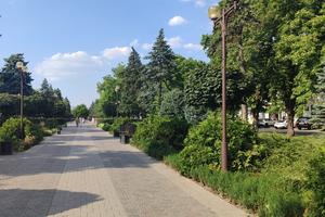 Красная улица аллея4