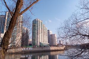 Bitrix 147804: Krasnodar_-nezhvizhimost_-doma.jpg