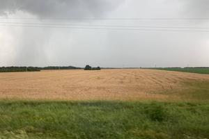 Bitrix 136512: Krasnodarskiy-kray-pole-4.jpeg