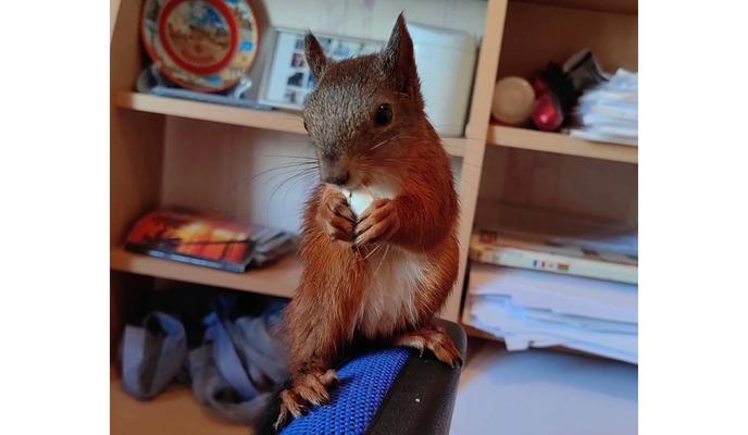 Bitrix 124912: LAVLO7wBH6_gVwvlKGUiQuvuam1HY3RBUe_1WE4twnbNB2SsLniJjIQjBZkfjQmZWX1C8zfnjayRiUpBqMwkhRZY.jpg