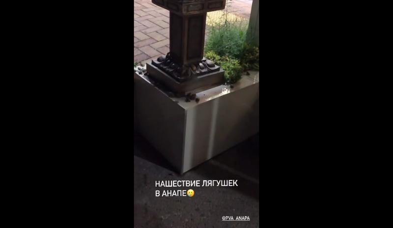 Bitrix 101526: Lyagushki-v-Anape.jpg
