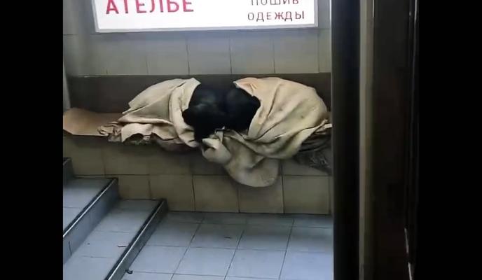 Bitrix 111208: MInMvnfJEII.jpg