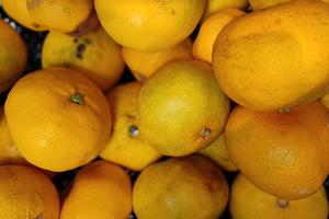 Bitrix 160206: Mandariny2.jpg