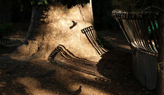 Bitrix 184220: Mishina-Ekaterina_-g.-Samara-_-Teni.jpg