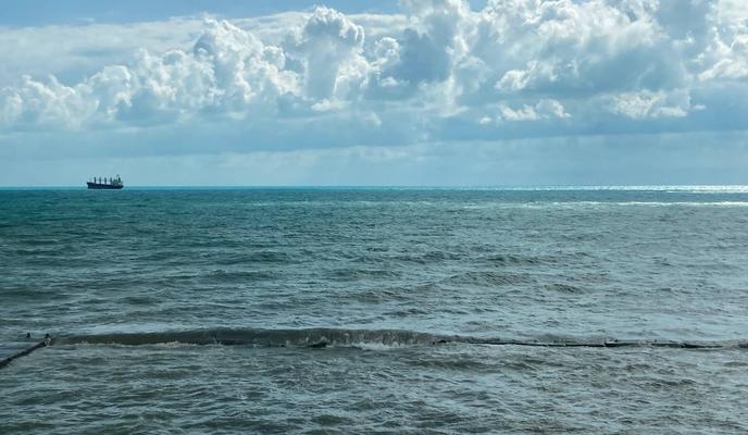 Bitrix 183489: More-_1_-_1_.jpeg