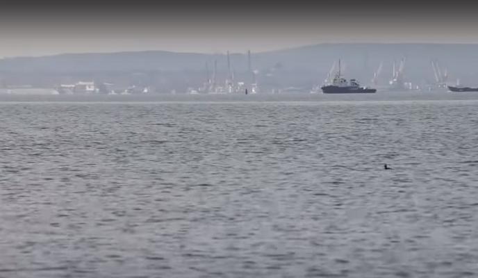 Bitrix 113920: More.jpg