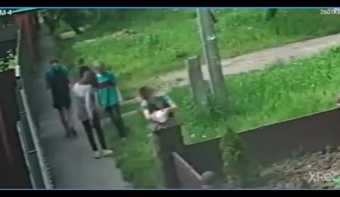 Bitrix 95851: MuT2HgaNAJE.jpg