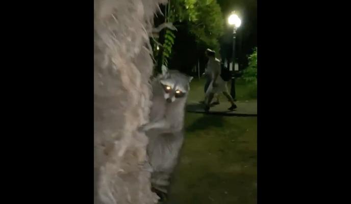 Bitrix 101342: NBbmej6xhnA.jpg