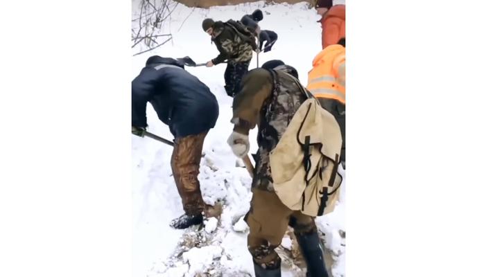 Bitrix 112377: NTPGL6yjLbc.jpg