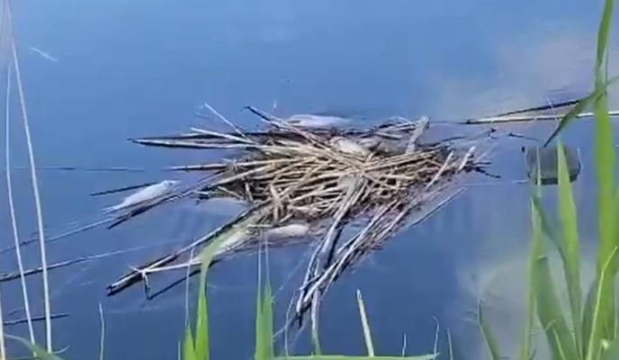 Bitrix 117690: NoFeOwioMtPc6LF0EG3nRIhaHZwBF2jyhkCUNv4a7jVWVyoojnw3QJr9fSOCkvDPFjU95AoN_Sp8mQk_KvCPwi1h.jpg