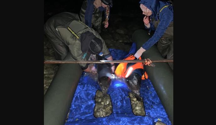 Bitrix 117605: O05yEX3HBwOp2Bse29Mr9HGhzhH0gK3_1OGemEp32yN9yGxxnTN6C_p2p131ObDsseitfAQgicvZqa_lNP9Yd8NL.jpg