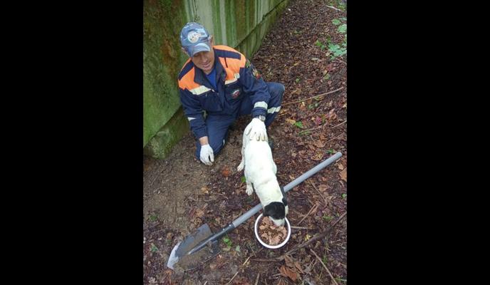 Bitrix 123938: OCaKpcEtYjy_3ruCcglrv2eUJgGN7uK6NQBkguH5OufZfYYQWi3zeB_SPU0AwRgLEUFw3xh8jUR3iP5vnGPKHAK6.jpg