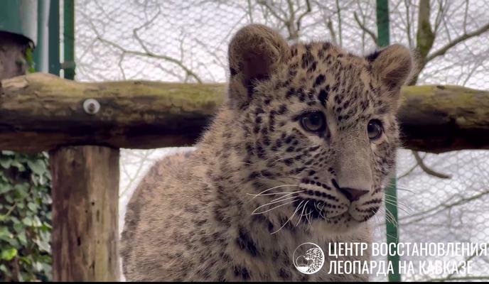 Bitrix 145469: OxgpS_WSqgw.jpg