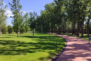 Bitrix 154387: Park-Galitskogo-Krasnodar-park-oblakov.jpeg