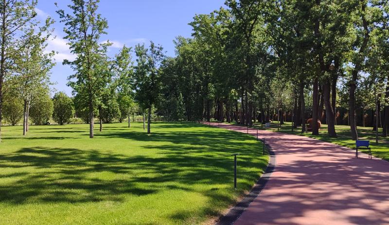 Bitrix 154387: Park-Galitskogo-Krasnodar-park-oblakov.jpeg