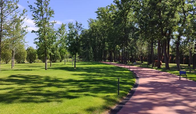 Bitrix 154387: Park-Galitskogo-Krasnodar-park-oblakov.jpeg