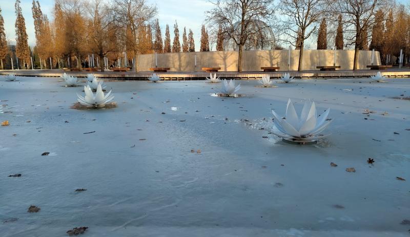Bitrix 144888: Park-Galitskogo_-park-Krasnodar_-zima.jpg