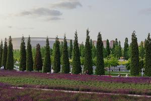 Bitrix 151128: Park-Krasnodar-shalfey8.jpg