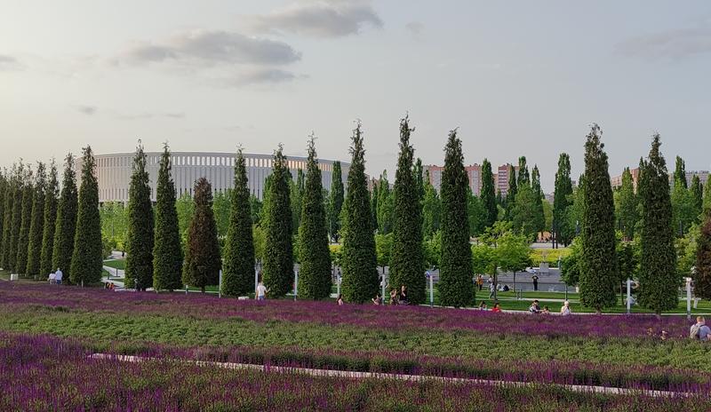 Bitrix 151128: Park-Krasnodar-shalfey8.jpg