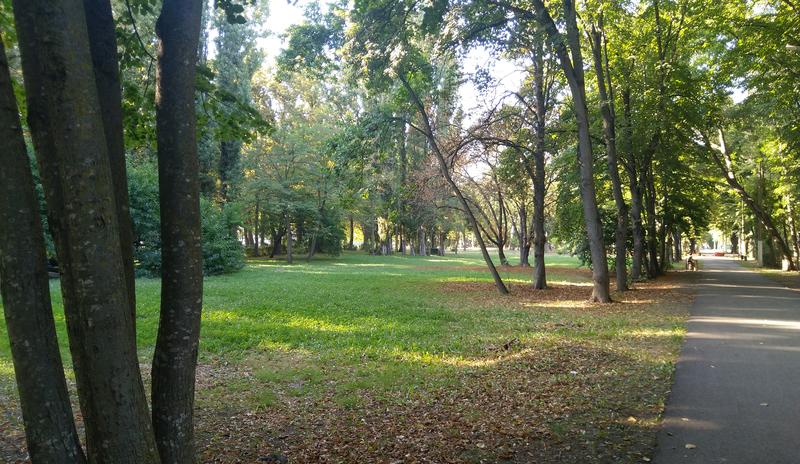 Bitrix 133907: Park-Solnechnyy-ostrov-avgust-derevya4.jpg