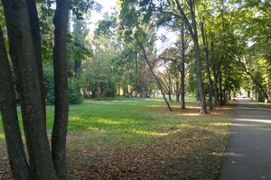 Bitrix 133907: Park-Solnechnyy-ostrov-avgust-derevya4.jpg