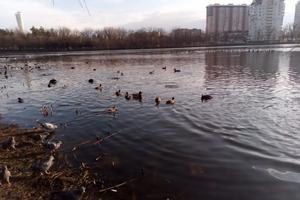 Bitrix 147228: Park-Stadiona-Kuban-_2_.jpg