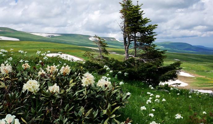 Bitrix 95946: PoAAAgPrYuA_1920.jpeg