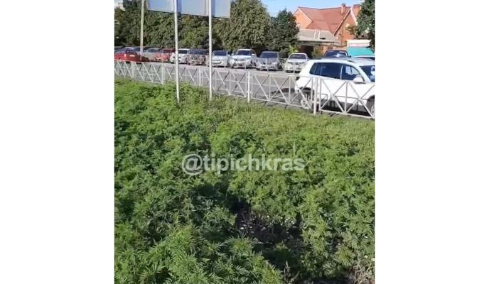 Bitrix 120013: PpWVKHALGjAKfPKlAPdYvrnXKiqQcIWNDxmmkTnNJMb0sbjGOEmIHNAYx1OCowaF5C9ng_CRutCDEAjGHaXIedGd.jpg