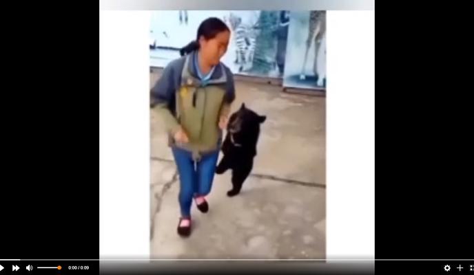 Bitrix 117804: Prygayushchiy-mishka.jpg