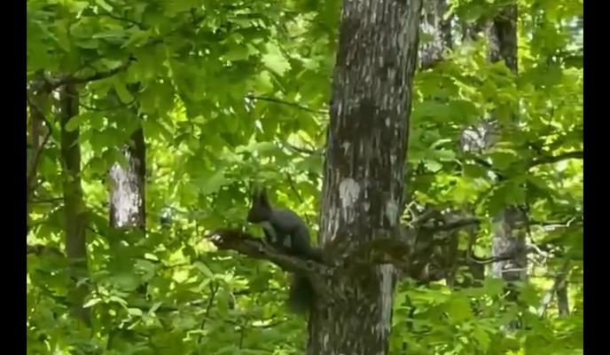 Bitrix 116962: QVMzhCWX8_nWDVkWnmiExixe5U7sI7dN49Trdn6BLGaLevrr8fR9tMrdMa16P1GYFOhm5JfHA4i38IqBpzmBRu6K.jpg